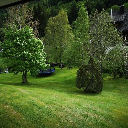 B1 Albmatte-Fewo Sauna, Hallenbad Aussenbecken Massagen Nebenan Menzenschwand-Hinterdorf Exteriör bild