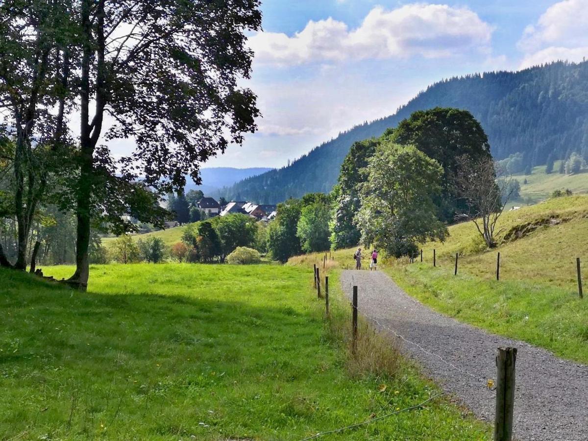 B1 Albmatte-Fewo Sauna, Hallenbad Aussenbecken Massagen Nebenan Menzenschwand-Hinterdorf Exteriör bild