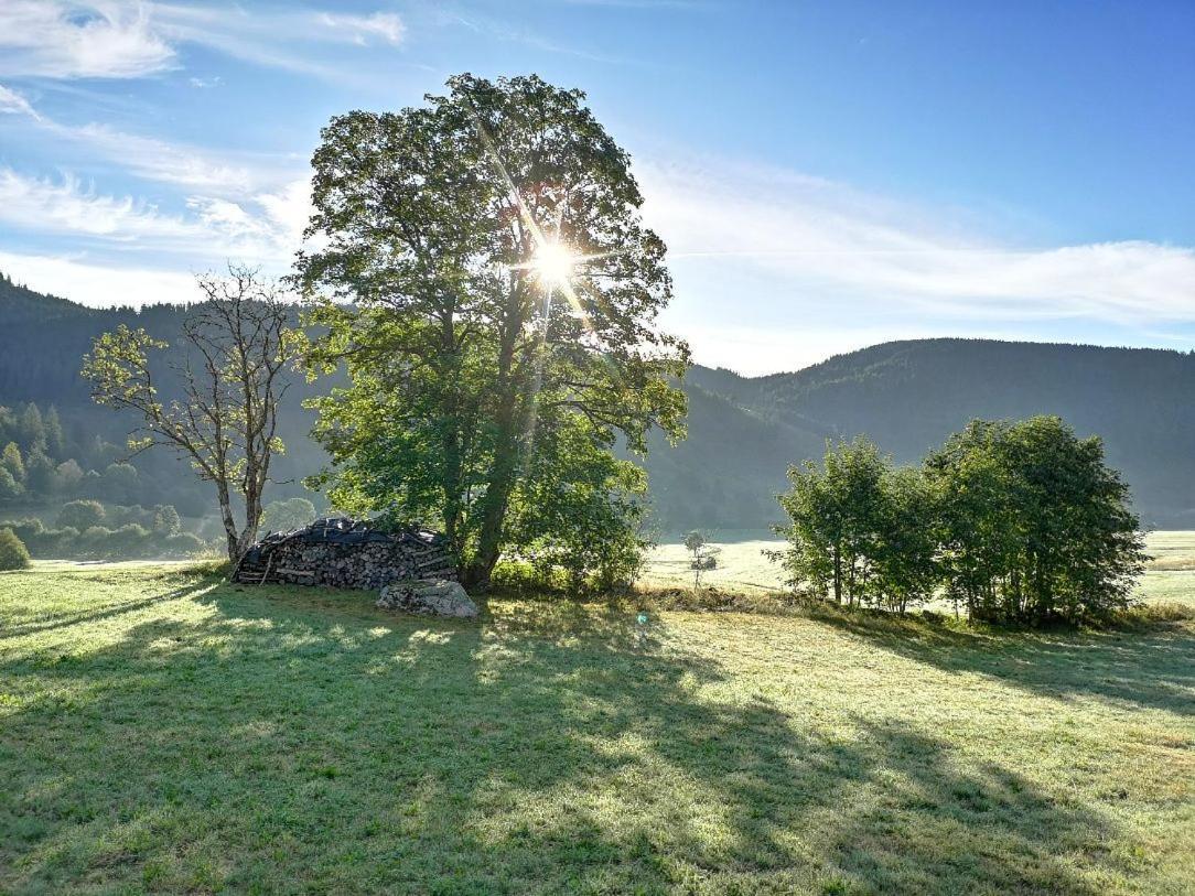 B1 Albmatte-Fewo Sauna, Hallenbad Aussenbecken Massagen Nebenan Menzenschwand-Hinterdorf Exteriör bild