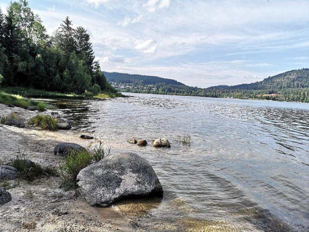 B1 Albmatte-Fewo Sauna, Hallenbad Aussenbecken Massagen Nebenan Menzenschwand-Hinterdorf Exteriör bild