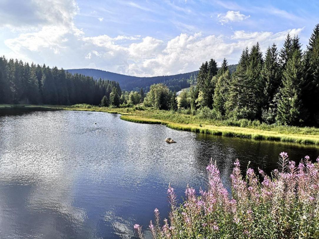 B1 Albmatte-Fewo Sauna, Hallenbad Aussenbecken Massagen Nebenan Menzenschwand-Hinterdorf Exteriör bild