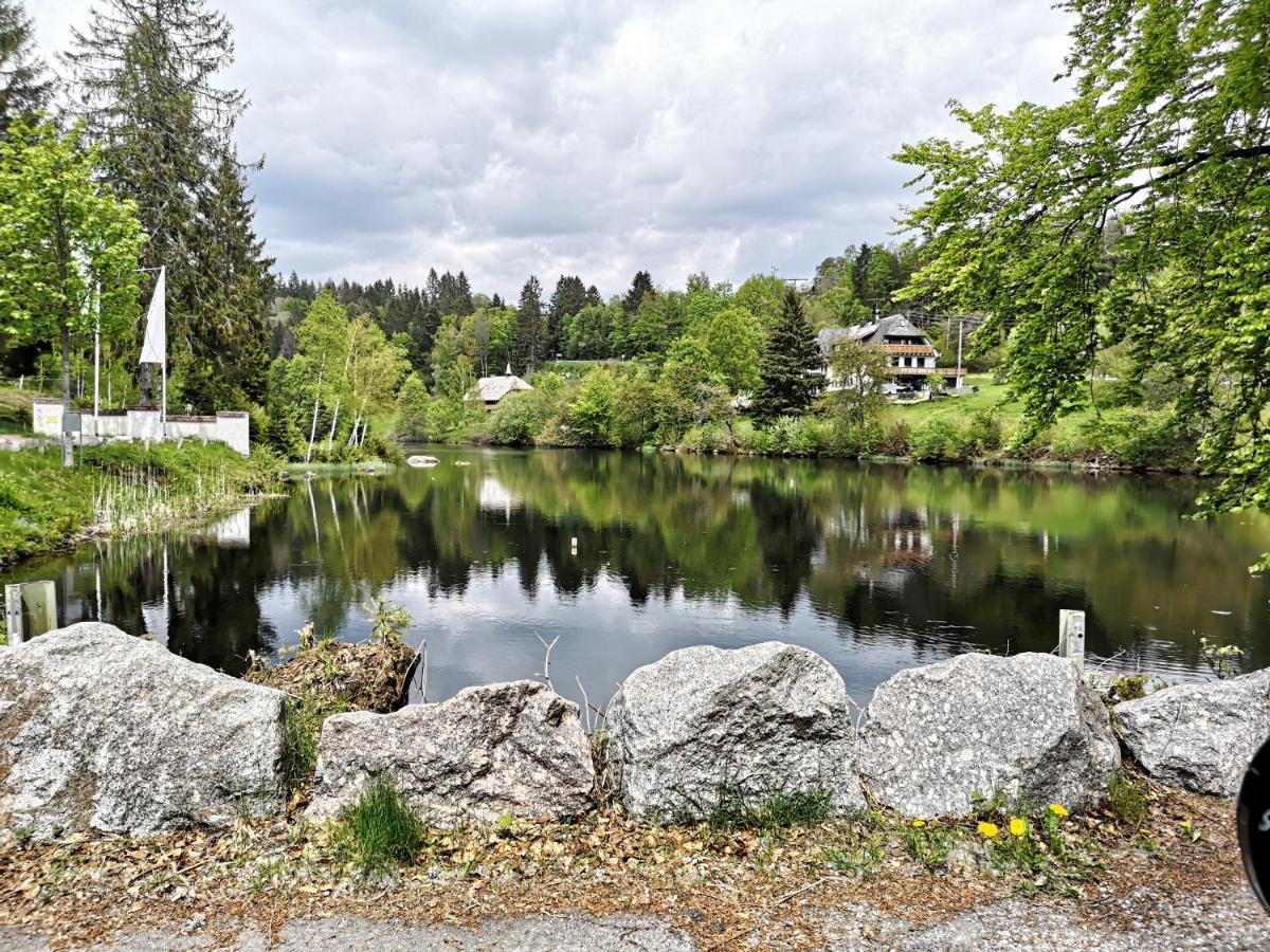 B1 Albmatte-Fewo Sauna, Hallenbad Aussenbecken Massagen Nebenan Menzenschwand-Hinterdorf Exteriör bild