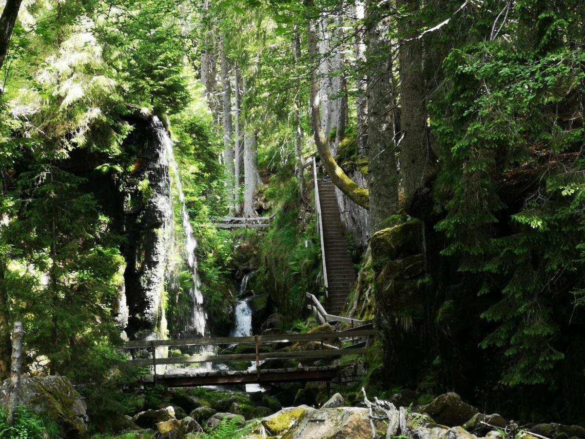 B1 Albmatte-Fewo Sauna, Hallenbad Aussenbecken Massagen Nebenan Menzenschwand-Hinterdorf Exteriör bild