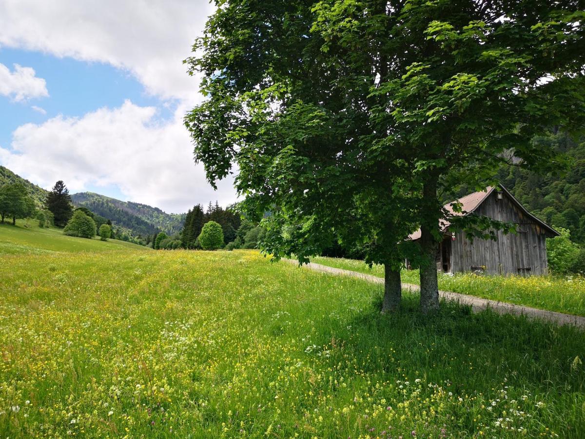 B1 Albmatte-Fewo Sauna, Hallenbad Aussenbecken Massagen Nebenan Menzenschwand-Hinterdorf Exteriör bild