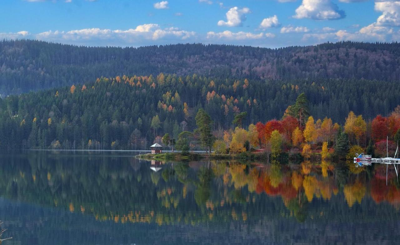 B1 Albmatte-Fewo Sauna, Hallenbad Aussenbecken Massagen Nebenan Menzenschwand-Hinterdorf Exteriör bild