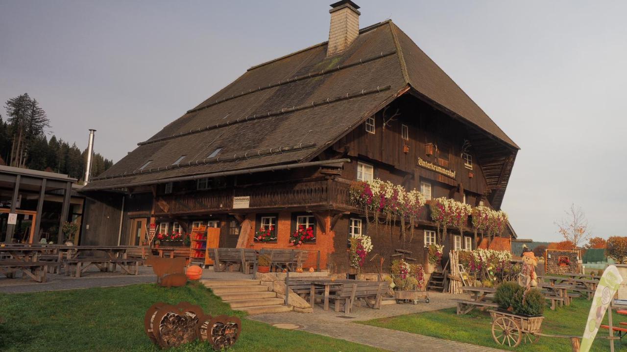 B1 Albmatte-Fewo Sauna, Hallenbad Aussenbecken Massagen Nebenan Menzenschwand-Hinterdorf Exteriör bild
