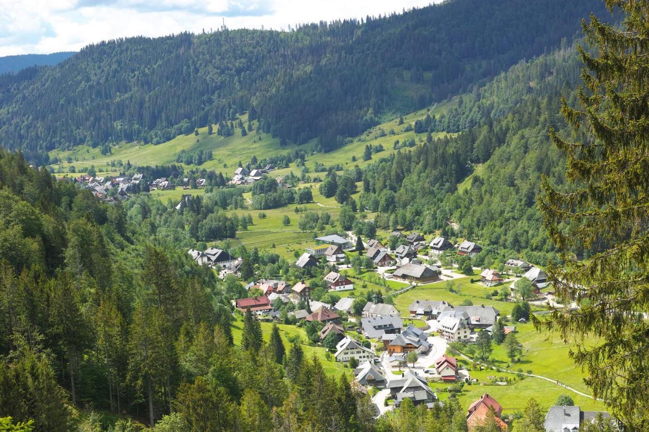 B1 Albmatte-Fewo Sauna, Hallenbad Aussenbecken Massagen Nebenan Menzenschwand-Hinterdorf Exteriör bild