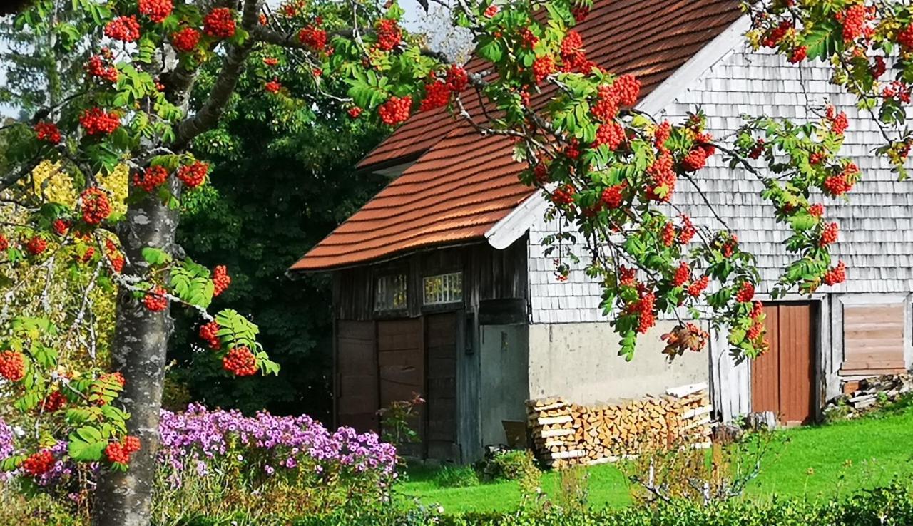 B1 Albmatte-Fewo Sauna, Hallenbad Aussenbecken Massagen Nebenan Menzenschwand-Hinterdorf Exteriör bild