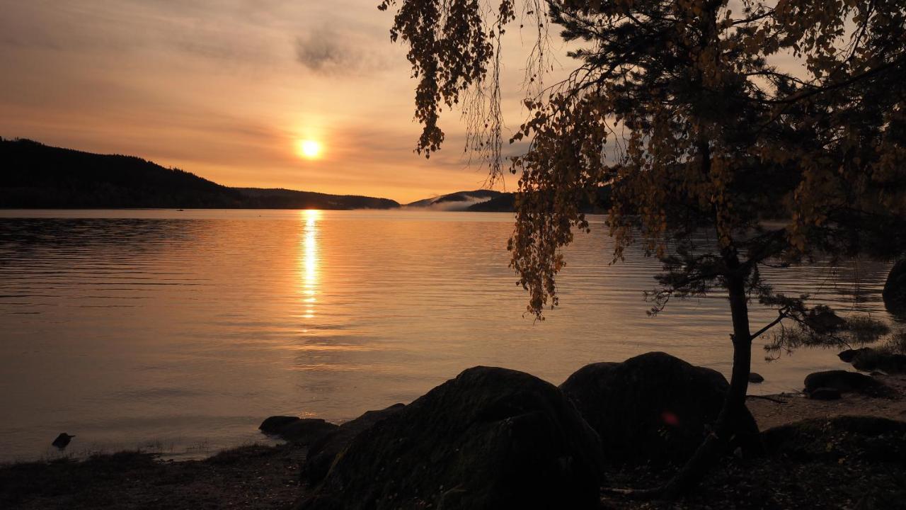 B1 Albmatte-Fewo Sauna, Hallenbad Aussenbecken Massagen Nebenan Menzenschwand-Hinterdorf Exteriör bild