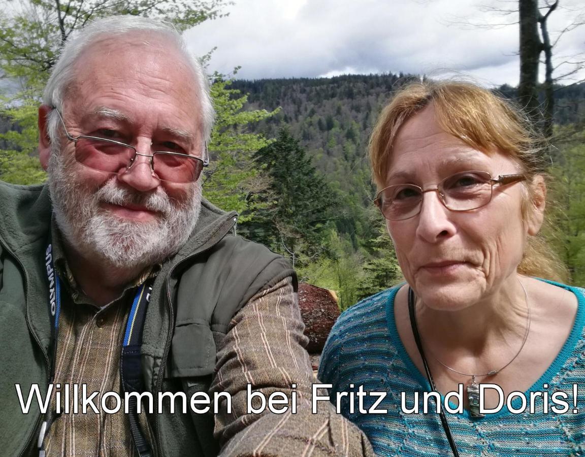 B1 Albmatte-Fewo Sauna, Hallenbad Aussenbecken Massagen Nebenan Menzenschwand-Hinterdorf Exteriör bild