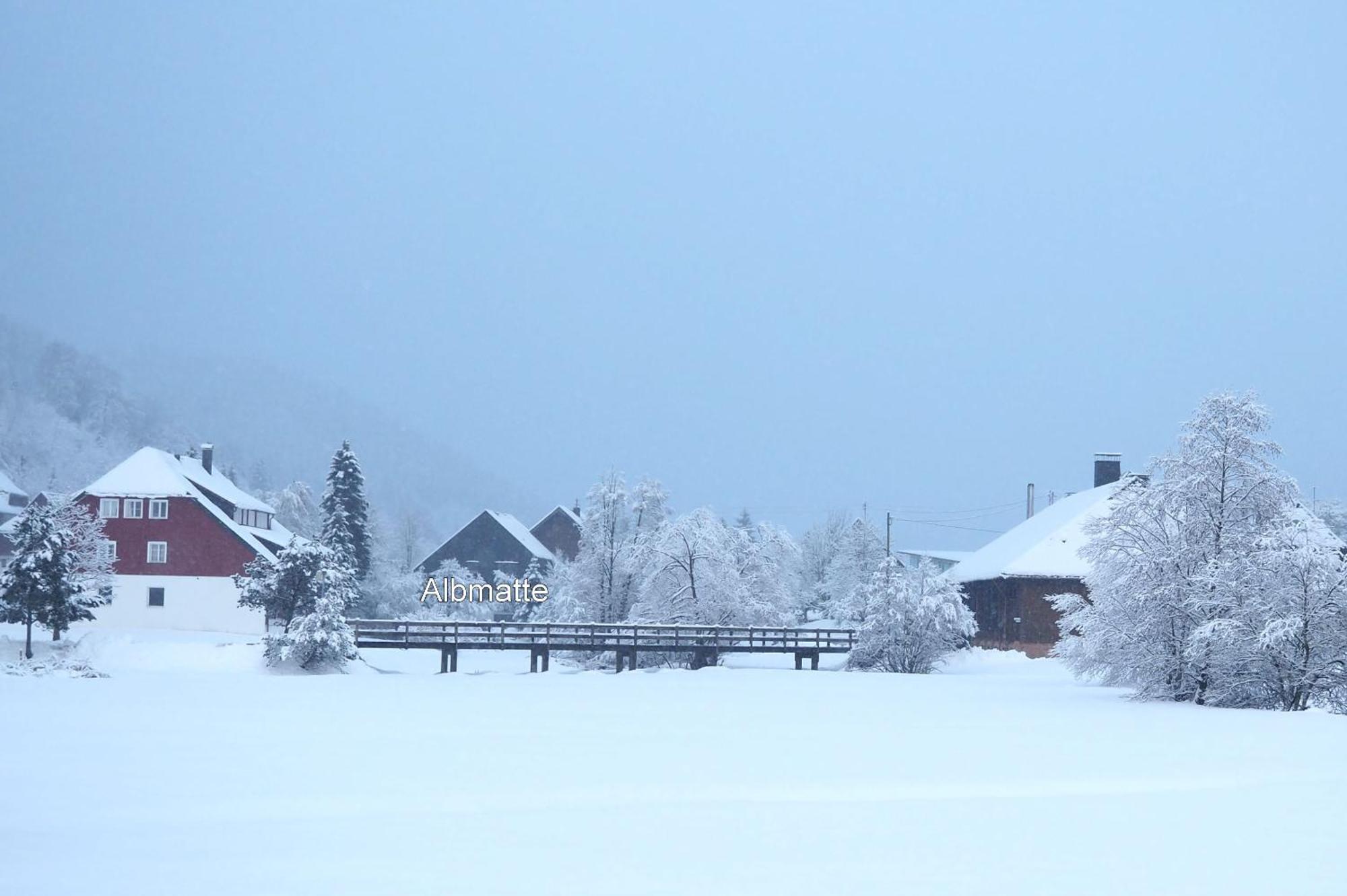 B1 Albmatte-Fewo Sauna, Hallenbad Aussenbecken Massagen Nebenan Menzenschwand-Hinterdorf Exteriör bild