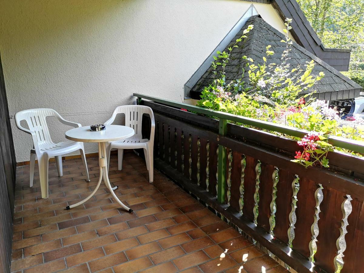 B1 Albmatte-Fewo Sauna, Hallenbad Aussenbecken Massagen Nebenan Menzenschwand-Hinterdorf Exteriör bild