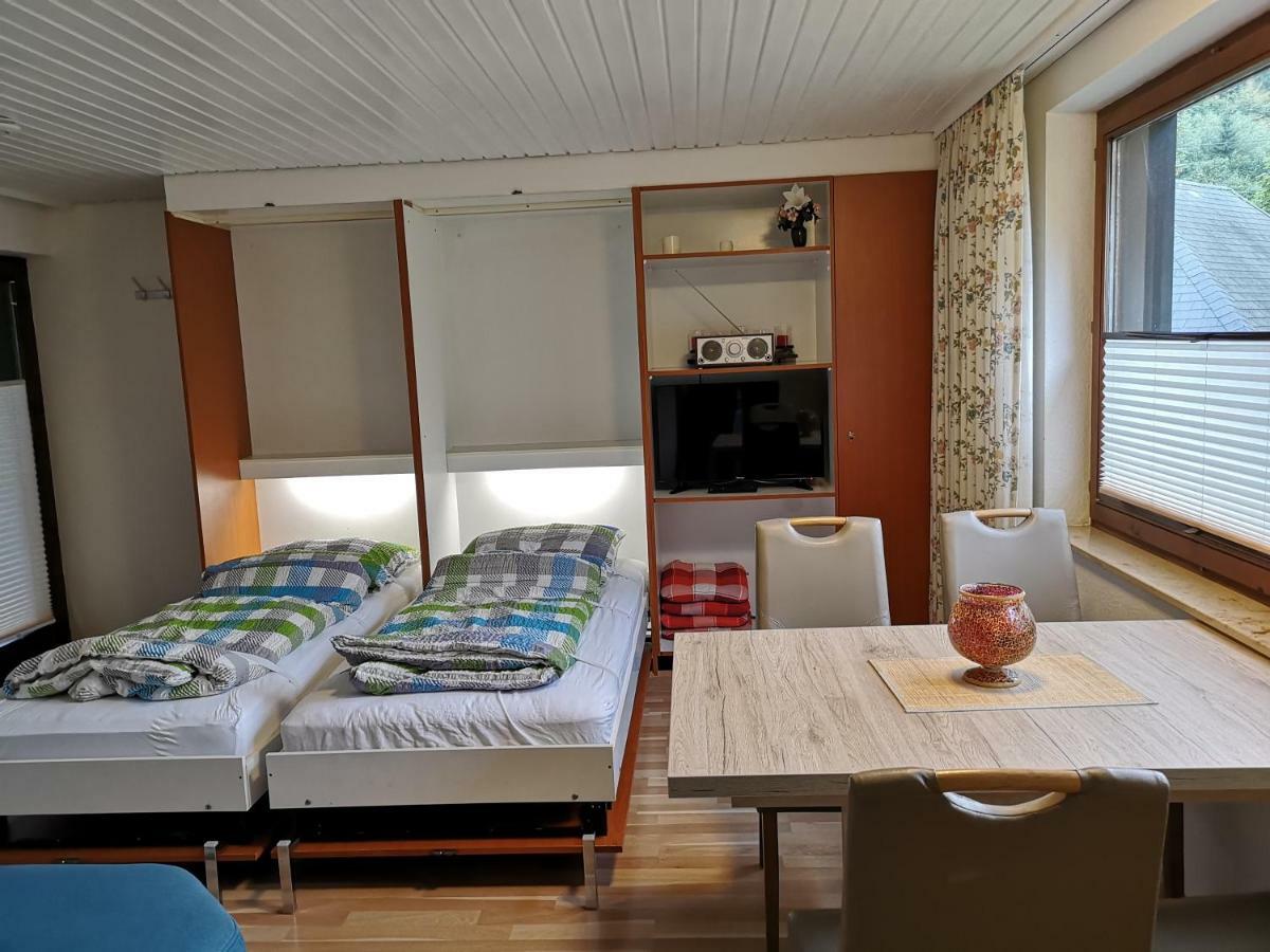 B1 Albmatte-Fewo Sauna, Hallenbad Aussenbecken Massagen Nebenan Menzenschwand-Hinterdorf Exteriör bild