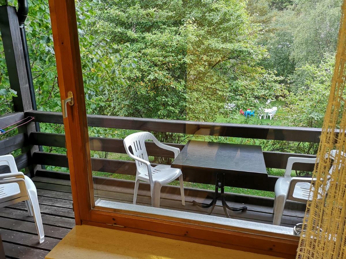 B1 Albmatte-Fewo Sauna, Hallenbad Aussenbecken Massagen Nebenan Menzenschwand-Hinterdorf Exteriör bild