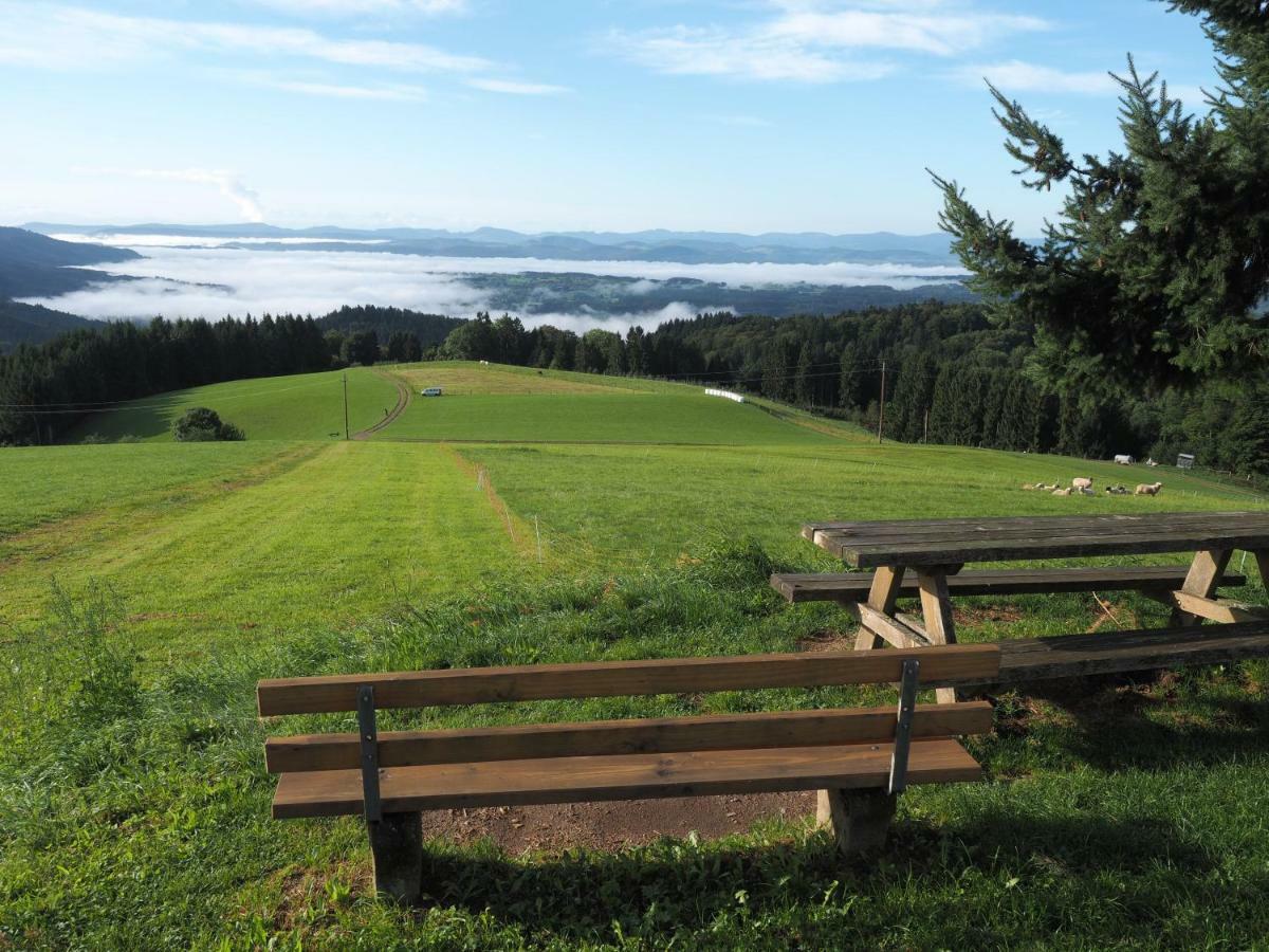 B1 Albmatte-Fewo Sauna, Hallenbad Aussenbecken Massagen Nebenan Menzenschwand-Hinterdorf Exteriör bild