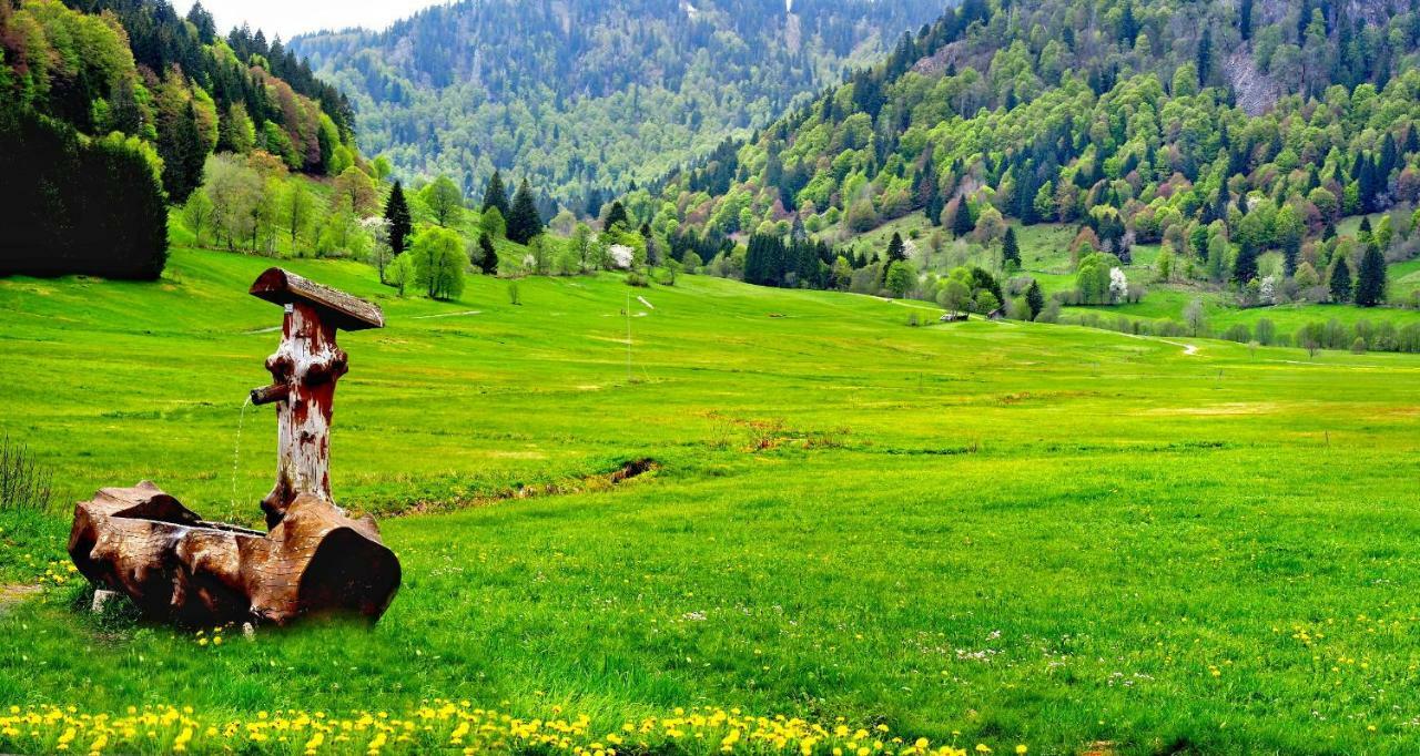 B1 Albmatte-Fewo Sauna, Hallenbad Aussenbecken Massagen Nebenan Menzenschwand-Hinterdorf Exteriör bild